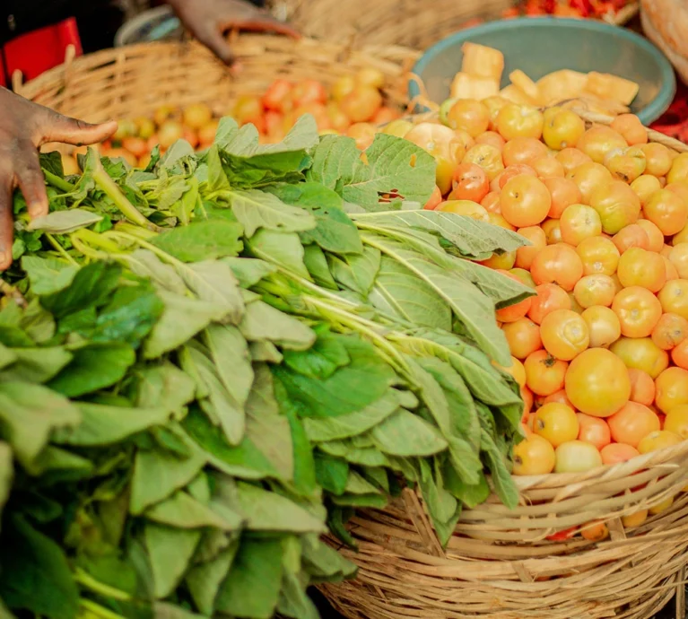 Ultrices sagittis orci a scelerisque purus semper eget duis at. Sollicitudin nibh sit amet.