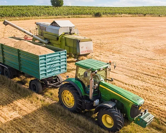 We grow fresh, organic produce using clean methods that protect nature, healthy food.