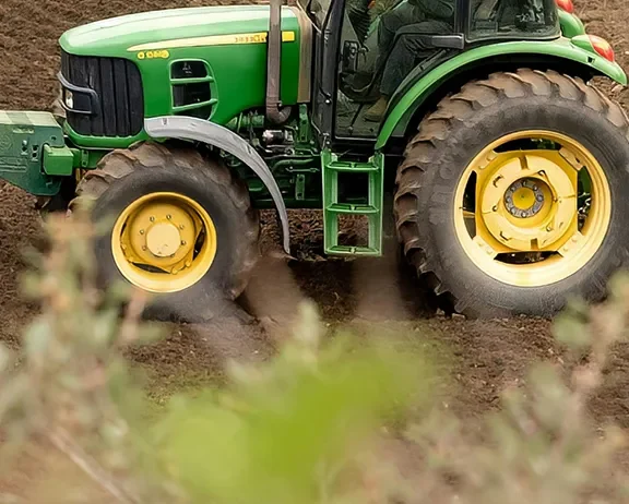 We grow fresh, organic produce using clean methods that protect nature, healthy food.